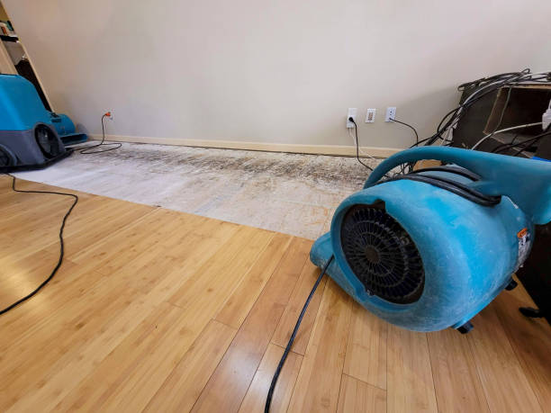 Professional Water Damage Repair technician working in Skull Valley, AZ